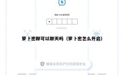 萝卜密聊可以聊天吗（萝卜密怎么开启）