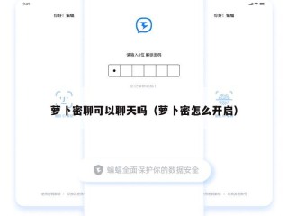 萝卜密聊可以聊天吗（萝卜密怎么开启）