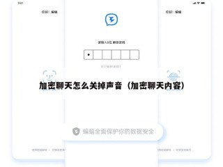 加密聊天怎么关掉声音（加密聊天内容）