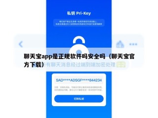 聊天宝app是正规软件吗安全吗（聊天宝官方下载）
