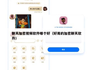 聊天加密视频软件哪个好（好用的加密聊天软件）