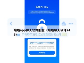 蝙蝠app聊天软件旧版（蝙蝠聊天软件245）