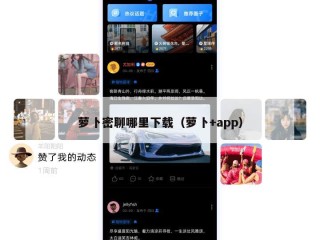 萝卜密聊哪里下载（萝卜+app）