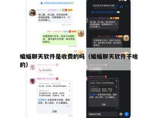 蝙蝠聊天软件是收费的吗（蝙蝠聊天软件干啥的）