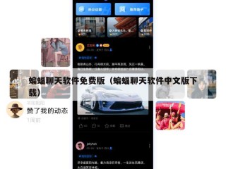 蝙蝠聊天软件免费版（蝙蝠聊天软件中文版下载）