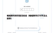 蝙蝠聊天网页版没反应（蝙蝠聊天打不开怎么回事）