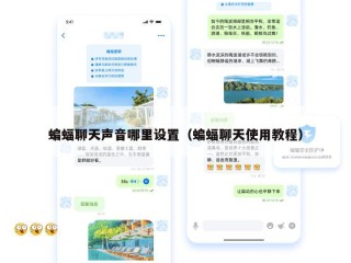 蝙蝠聊天声音哪里设置（蝙蝠聊天使用教程）