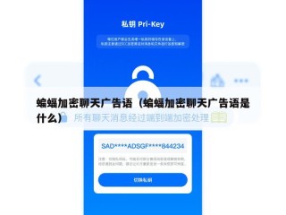 蝙蝠加密聊天广告语（蝙蝠加密聊天广告语是什么）