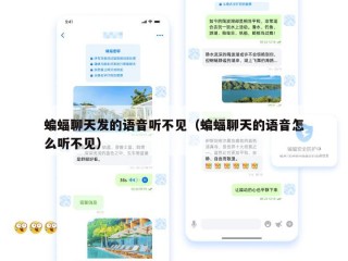 蝙蝠聊天发的语音听不见（蝙蝠聊天的语音怎么听不见）