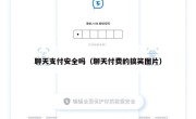 聊天支付安全吗（聊天付费的搞笑图片）