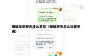 蝙蝠加密聊天什么意思（蝙蝠聊天怎么设置密语）