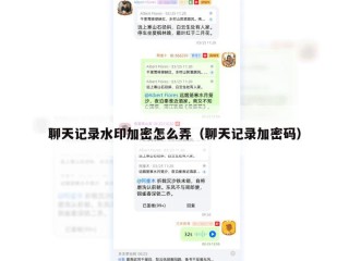 聊天记录水印加密怎么弄（聊天记录加密码）