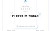 萝卜密聊充钱（萝卜互动怎么样）