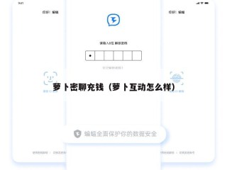 萝卜密聊充钱（萝卜互动怎么样）
