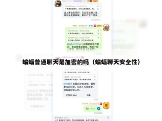蝙蝠普通聊天是加密的吗（蝙蝠聊天安全性）