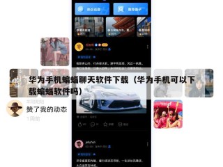 华为手机蝙蝠聊天软件下载（华为手机可以下载蝙蝠软件吗）