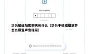 华为蝙蝠加密聊天叫什么（华为手机蝙蝠软件怎么设置声音提示）