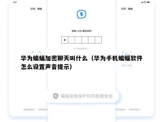 华为蝙蝠加密聊天叫什么（华为手机蝙蝠软件怎么设置声音提示）