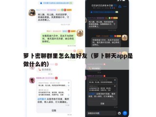 萝卜密聊群里怎么加好友（萝卜聊天app是做什么的）