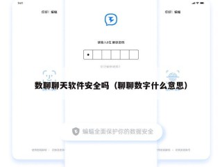 数聊聊天软件安全吗（聊聊数字什么意思）