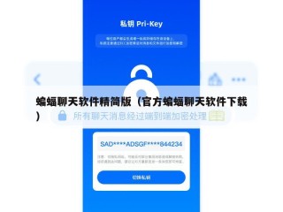 蝙蝠聊天软件精简版（官方蝙蝠聊天软件下载）