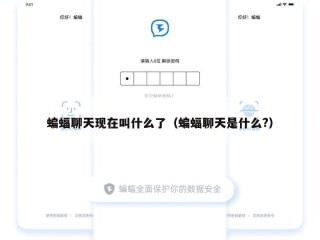 蝙蝠聊天现在叫什么了（蝙蝠聊天是什么?）