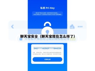 聊天宝安全（聊天宝现在怎么样了）