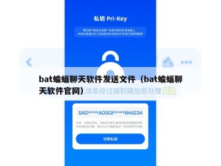 bat蝙蝠聊天软件发送文件（bat蝙蝠聊天软件官网）