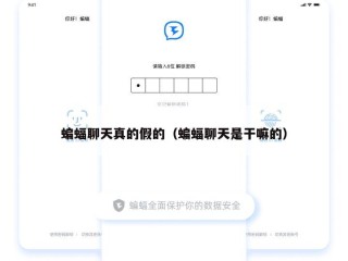 蝙蝠聊天真的假的（蝙蝠聊天是干嘛的）