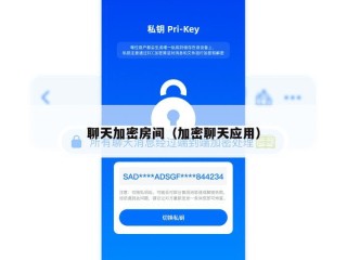 聊天加密房间（加密聊天应用）