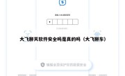 大飞聊天软件安全吗是真的吗（大飞聊车）