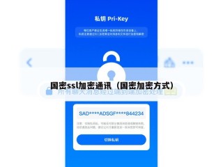 国密ssl加密通讯（国密加密方式）