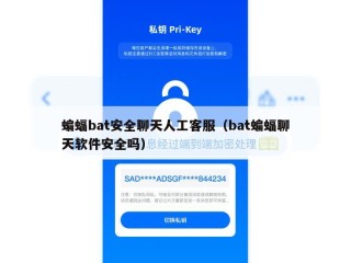 蝙蝠bat安全聊天人工客服（bat蝙蝠聊天软件安全吗）