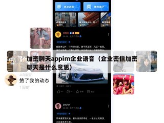 加密聊天appim企业语音（企业密信加密聊天是什么意思）