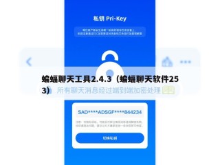 蝙蝠聊天工具2.4.3（蝙蝠聊天软件253）