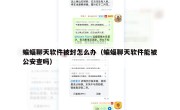 蝙蝠聊天软件被封怎么办（蝙蝠聊天软件能被公安查吗）