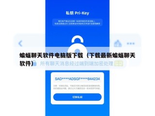 蝙蝠聊天软件电脑版下载（下载最新蝙蝠聊天软件）