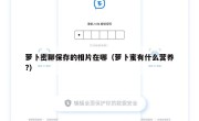 萝卜密聊保存的相片在哪（萝卜蜜有什么营养?）
