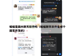 蝙蝠是国内聊天软件吗（蝙蝠聊天软件是哪个国家开发的）