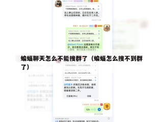 蝙蝠聊天怎么不能搜群了（蝙蝠怎么搜不到群了）