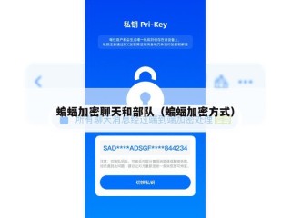 蝙蝠加密聊天和部队（蝙蝠加密方式）