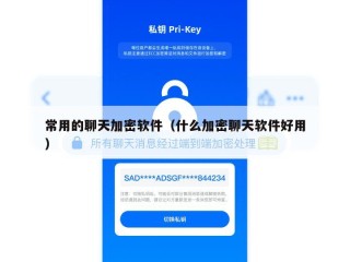 常用的聊天加密软件（什么加密聊天软件好用）