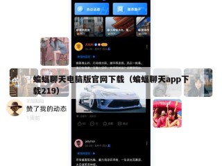 蝙蝠聊天电脑版官网下载（蝙蝠聊天app下载219）