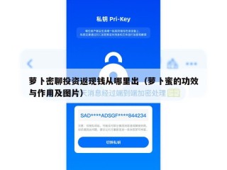 萝卜密聊投资返现钱从哪里出（萝卜蜜的功效与作用及图片）