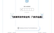 飞熊聊天软件安全吗（飞熊作品集）