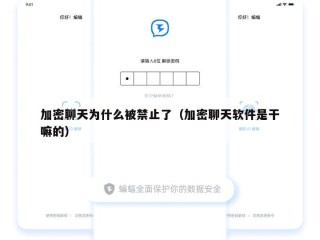 加密聊天为什么被禁止了（加密聊天软件是干嘛的）