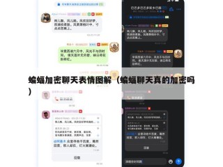 蝙蝠加密聊天表情图解（蝙蝠聊天真的加密吗）