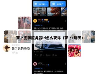 萝卜密聊服务器id怎么获得（萝卜+聊天）