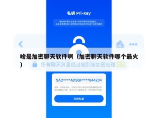 啥是加密聊天软件啊（加密聊天软件哪个最火）