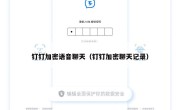 钉钉加密语音聊天（钉钉加密聊天记录）